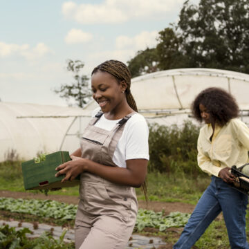 side-view-women-working-together South Africa’s Policy and Solutions that will Break the Cycle of Youth Unemployment