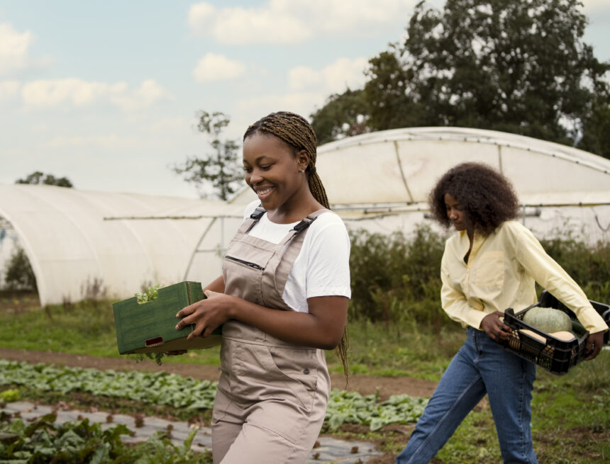 South Africa’s Policy and Solutions that will Break the Cycle of Youth Unemployment